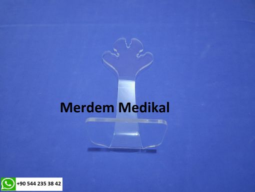 Küvöz Çam Ağacı